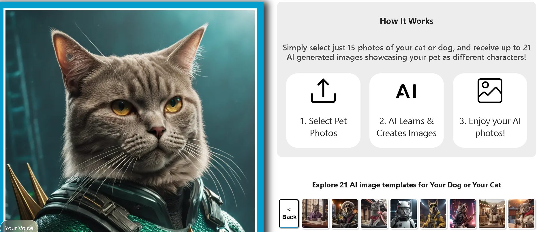 AI Pet Photos