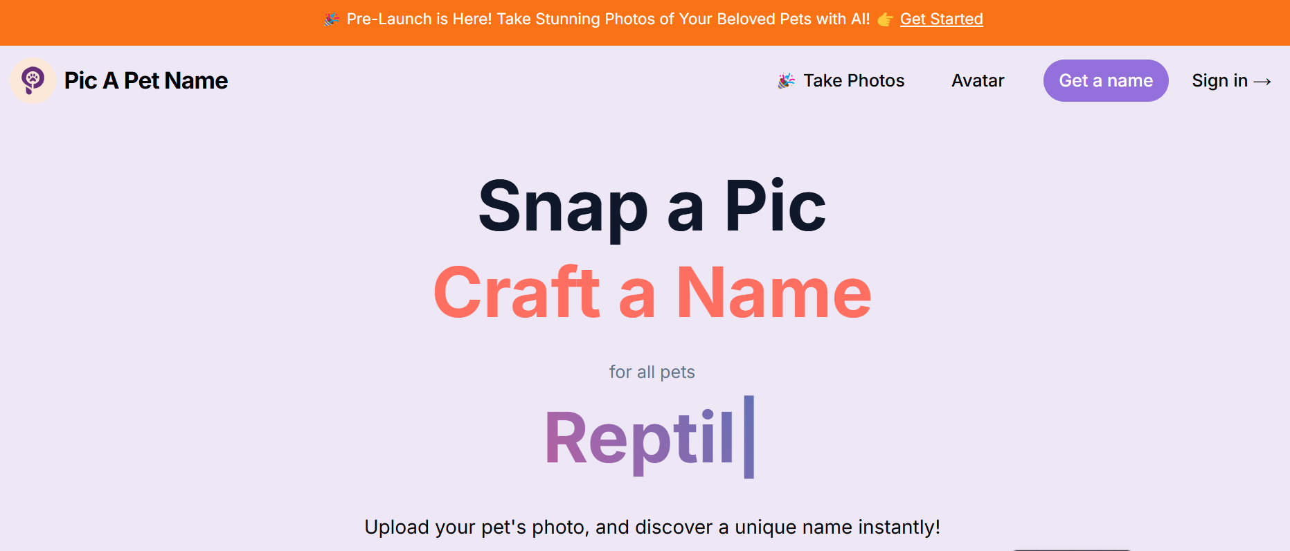 Pic A Pet Name